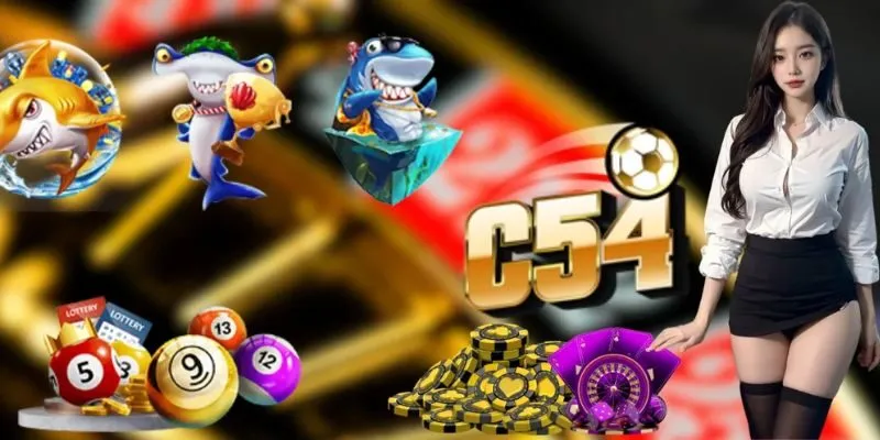 câu hỏi hay gặp