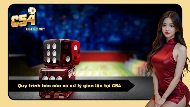 Quy trình báo cáo và xử lý gian lận tại C54