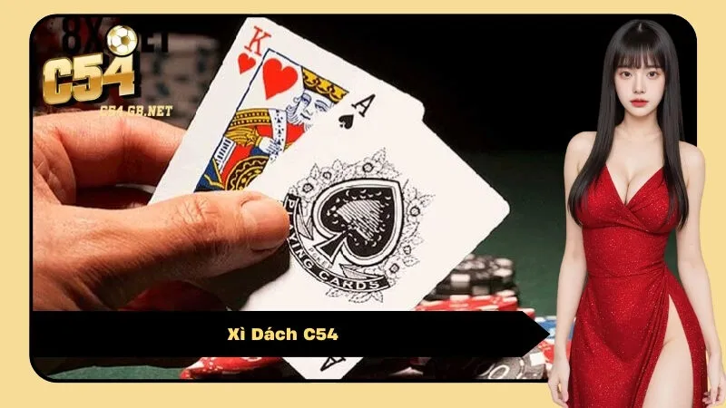 Xì Dách C54